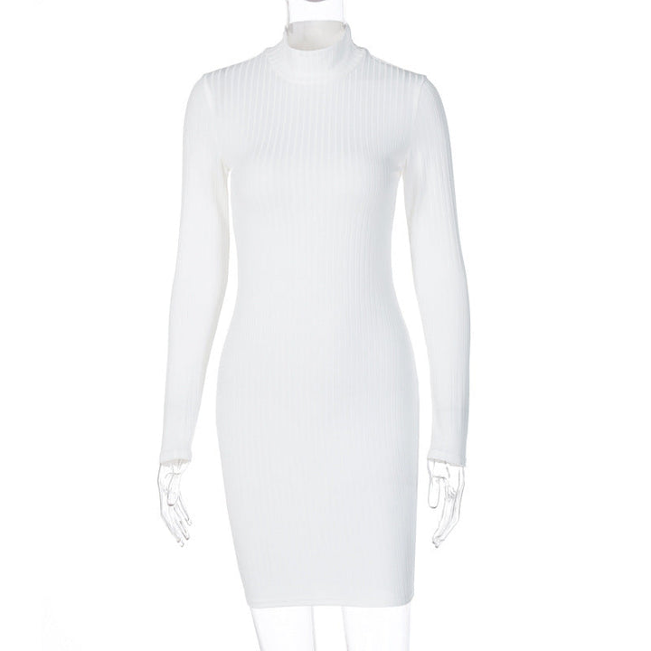 Victoria Ribbed Turtleneck Mini Dress