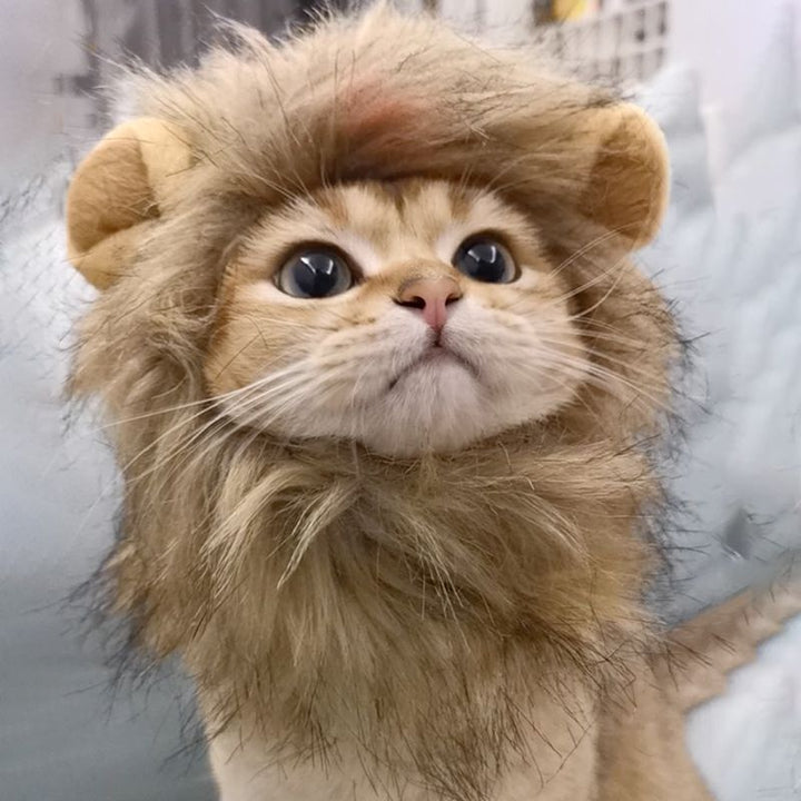 Lion's Mane Pet Costume