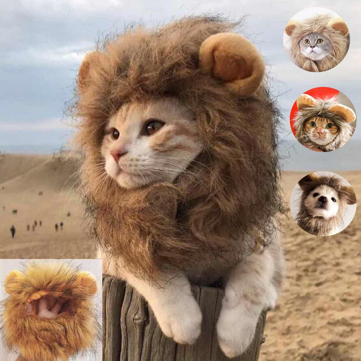 Lion's Mane Pet Costume