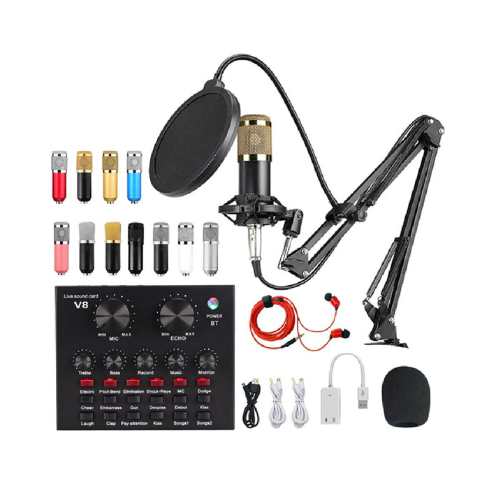 Professional Microphone Condenser Mic V8 V9 V10 USB Recording Studio Game Live Broadcast