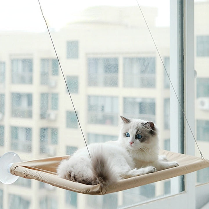 Cat Hanging Bed Shelf