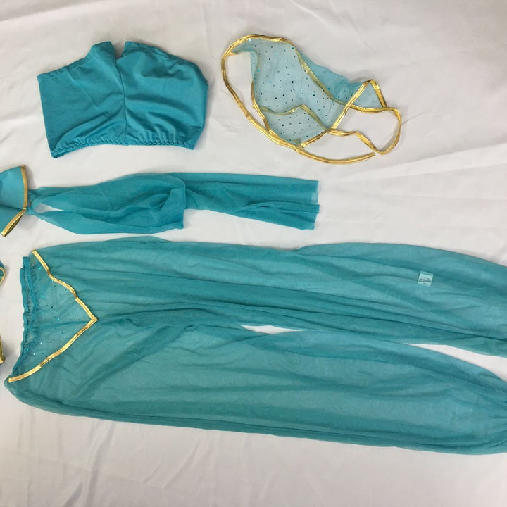 Genie Princess Costume, adults