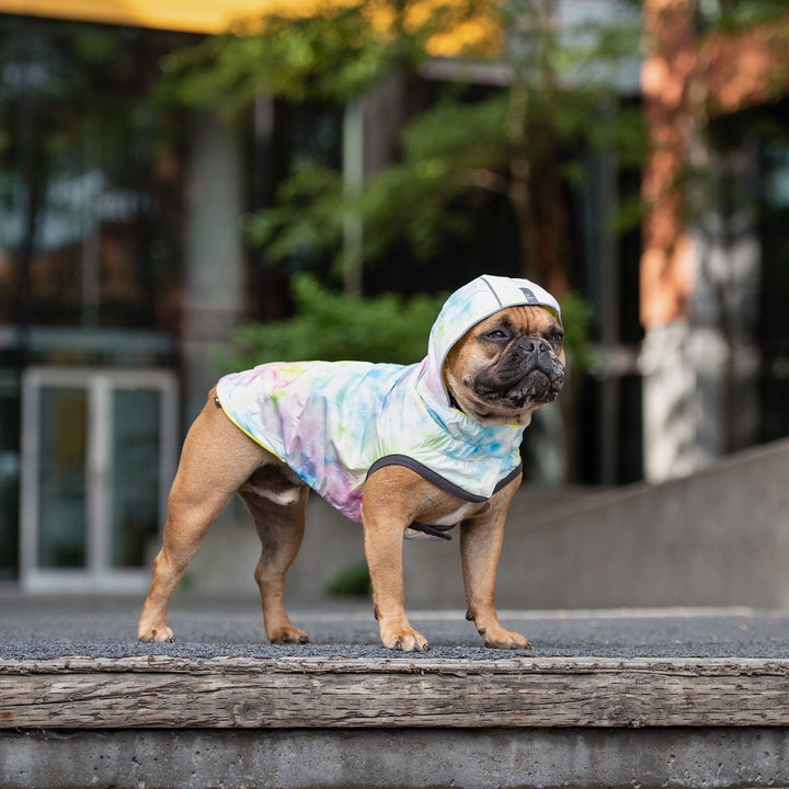 Reversible Raincoat - Neon Aqua with Iridescent