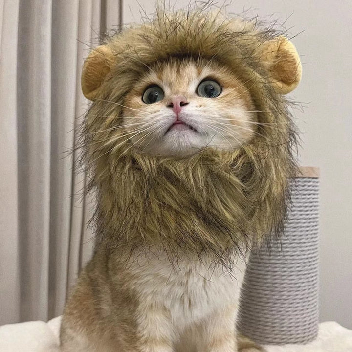 Lion's Mane Pet Costume