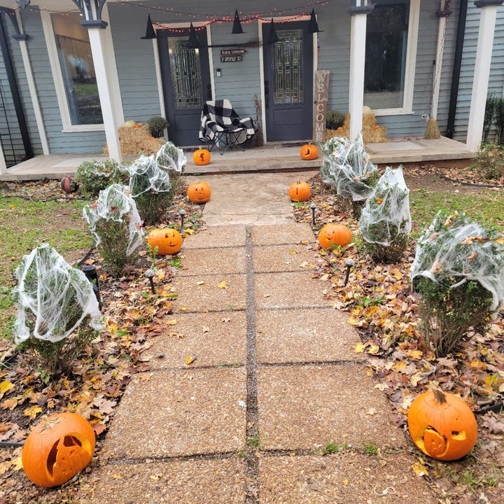 Halloween Witch Hats