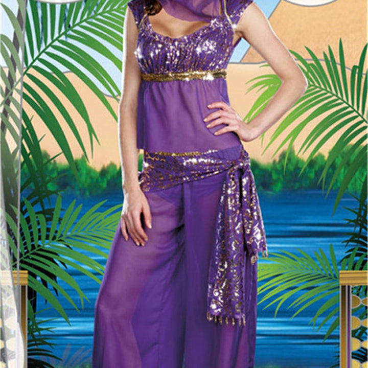 Genie Princess Costume, adults